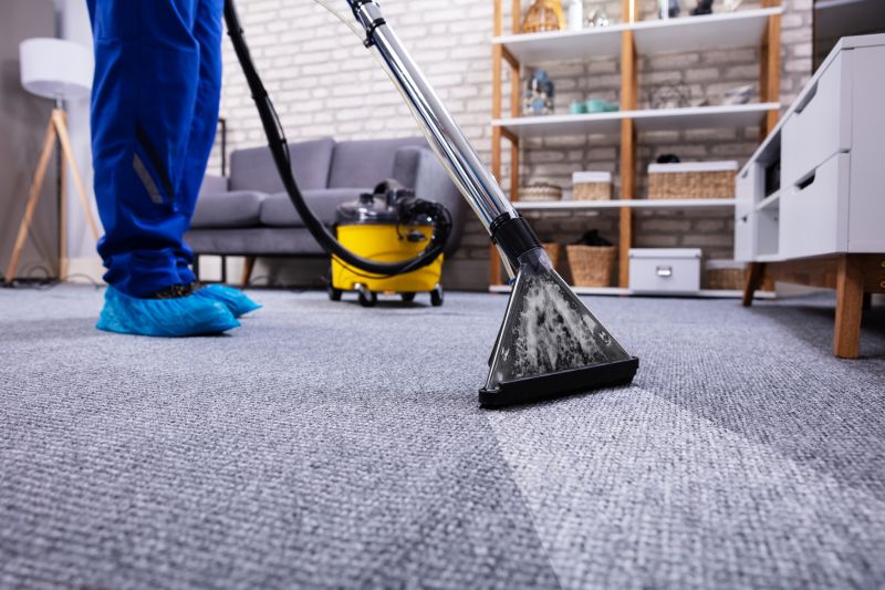 Basement Vacuuming in Redmond, WA