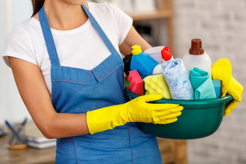 Monthly Maid Service in Sanford, FL